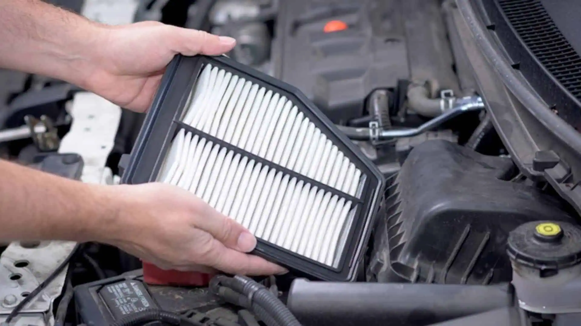 What to Look for in a Trusted Car Air Filter Supplier